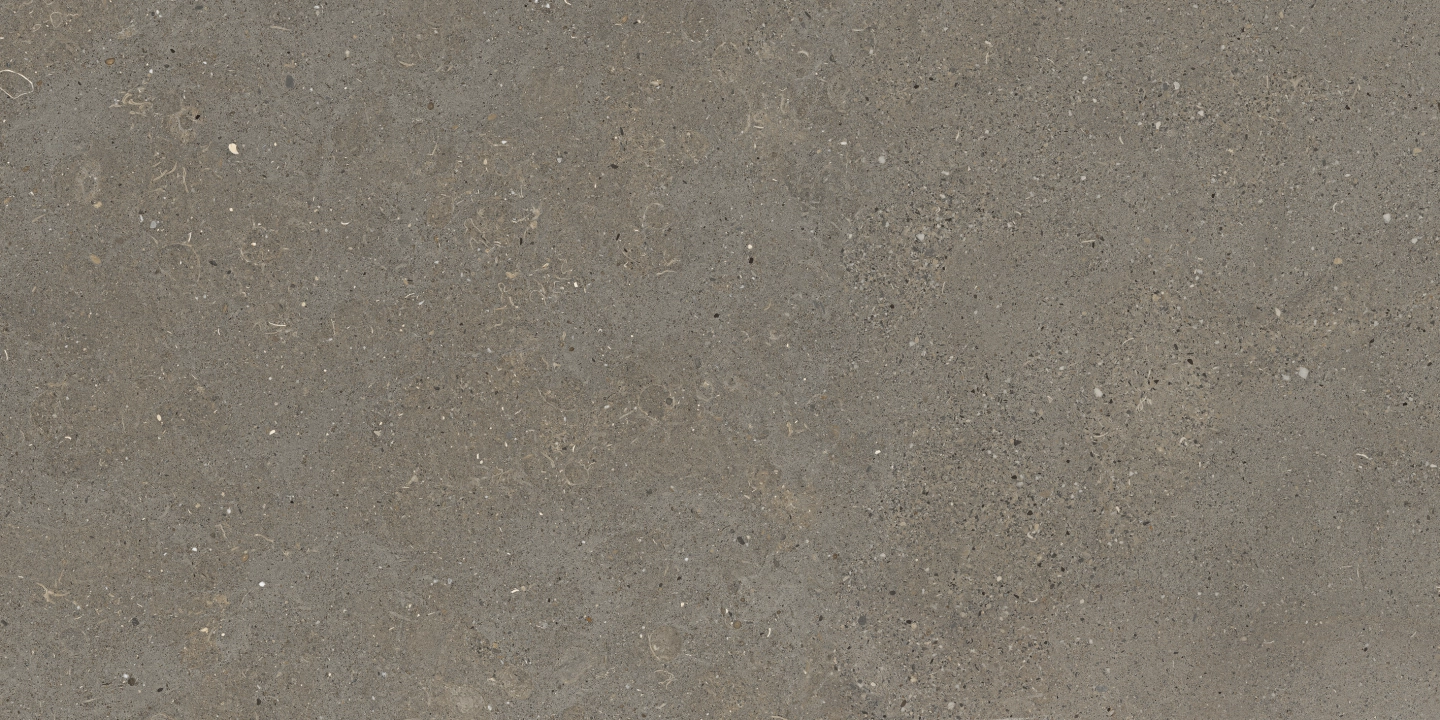 Graniti Fiandre Solida Grey płomieniowana 30x60 cm gr. 8 mm